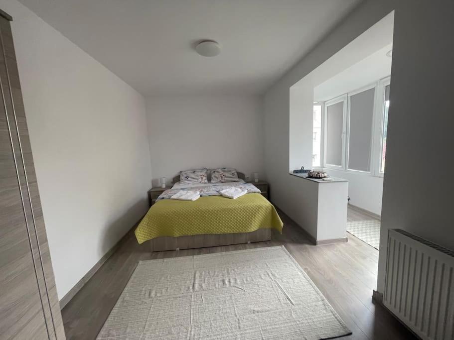 Lady M Apartment シギショアラ エクステリア 写真
